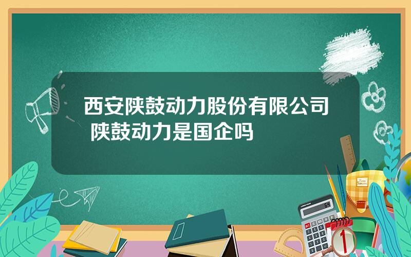 西安陕鼓动力股份有限公司 陕鼓动力是国企吗